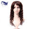 China Pelucas de cordón llenas del cabello humano profundo de la onda 100 con el pelo del brasilen@o del pelo del bebé exportador