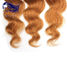 Extensiones coloridas para las muchachas, extensiones reales coloreadas del cabello humano del pelo proveedor